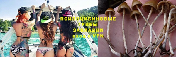 крисы Алексеевка