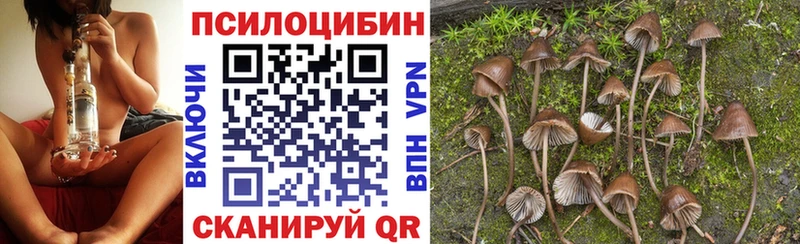 цены   Невинномысск  Псилоцибиновые грибы прущие грибы 